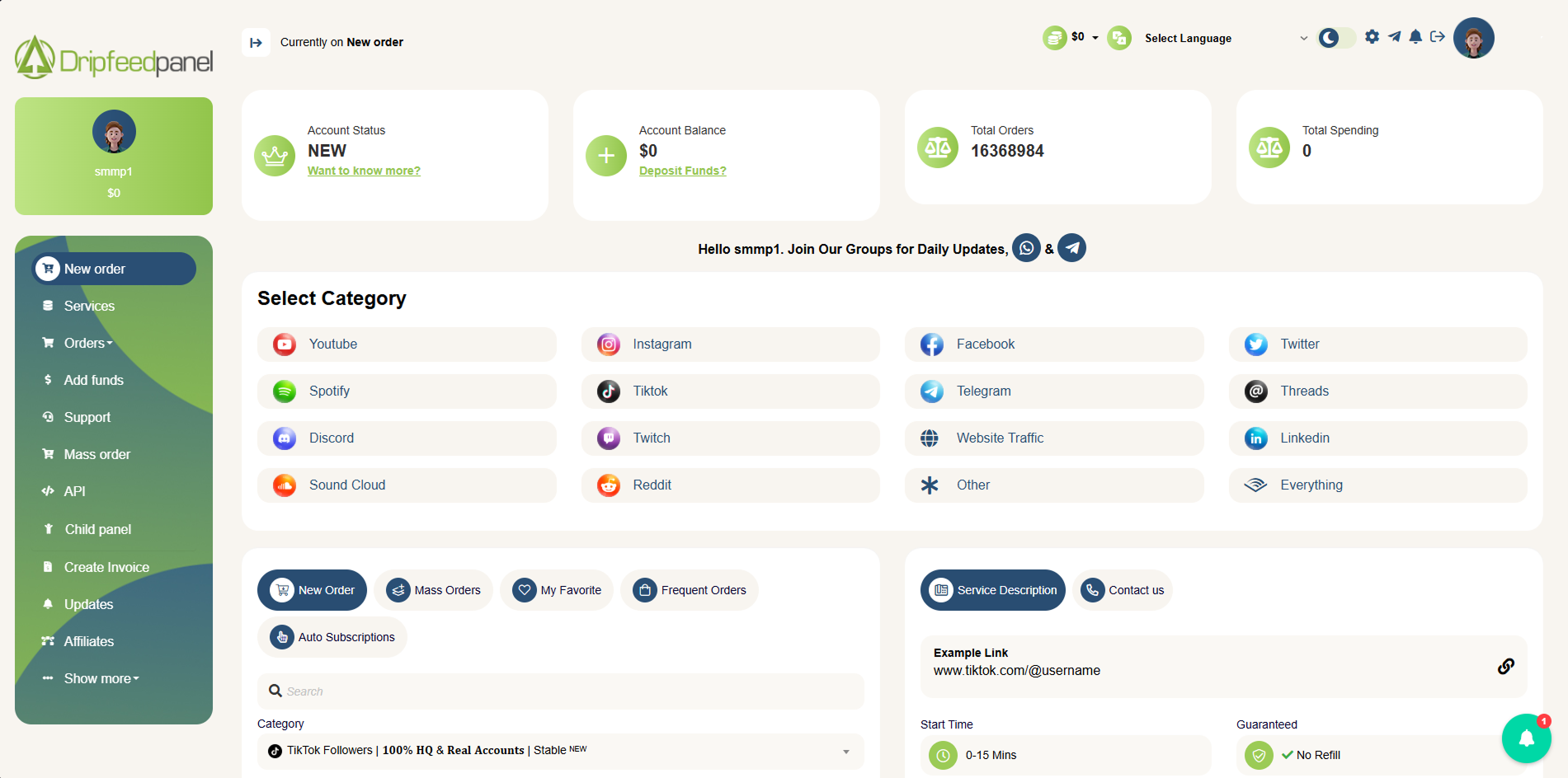 Screenshot: DripFeedPanel services