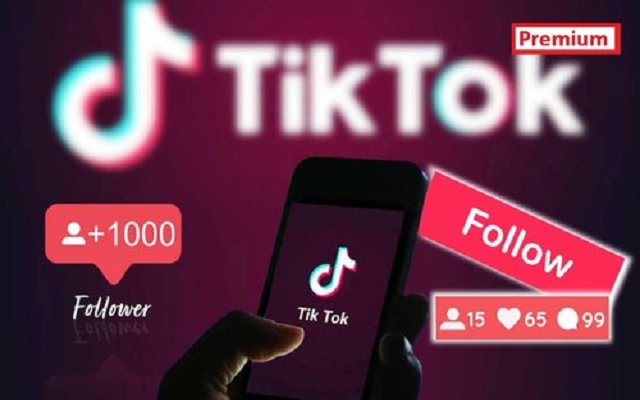 Buy tiktok followers at gainsfollower.com