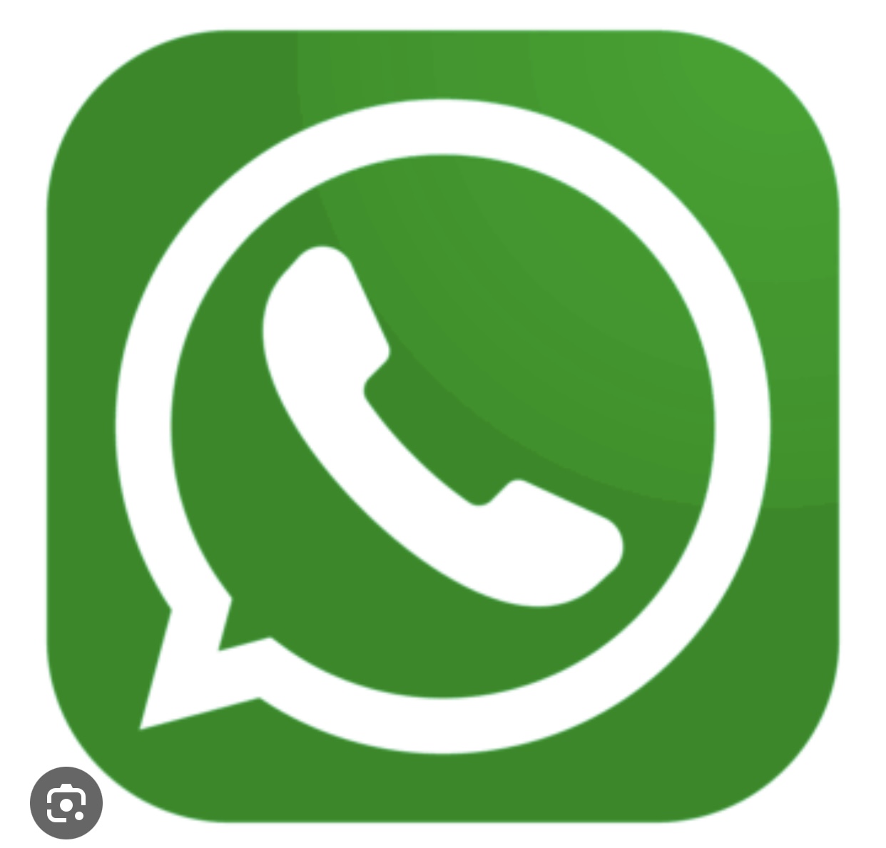 WhatsApp | Channel members |100% Real