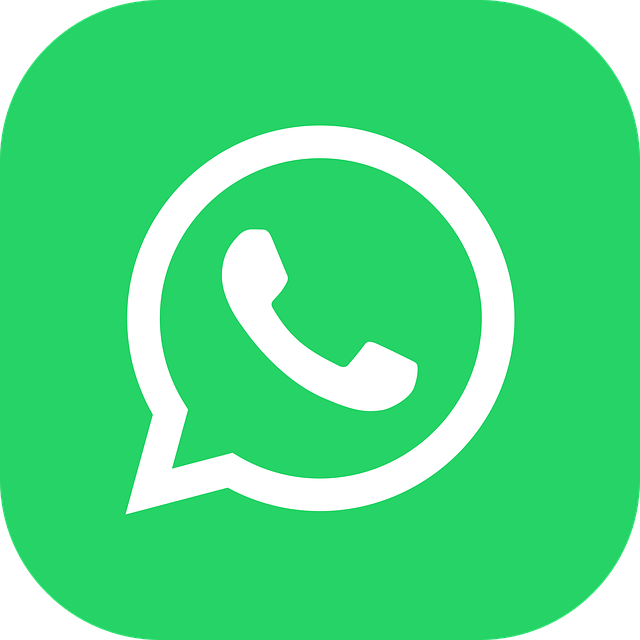 WhatsApp 频道成员