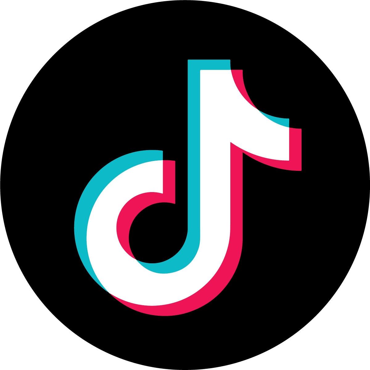 Tiktok Followers