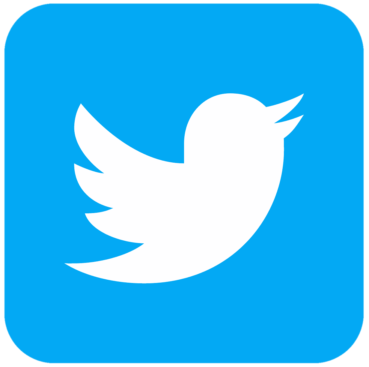 Twitter / X