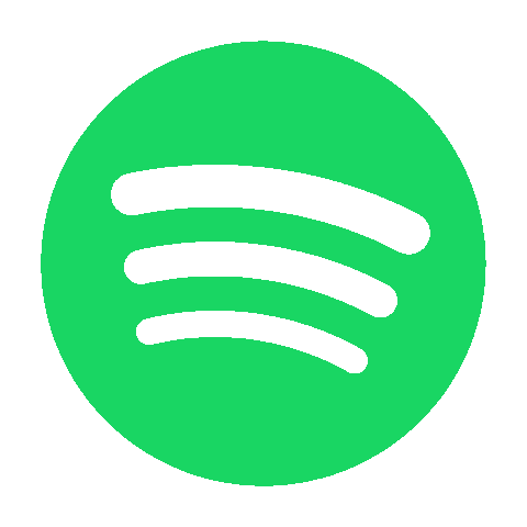 Spotify Followers