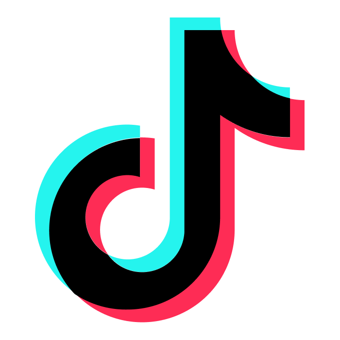 ▸ 𝗧𝗜𝗞𝗧𝗢𝗞 - Seguidores Brasileiros