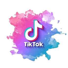 Tik Tok | Seguidores Emergencial✅