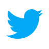 Twitter X
