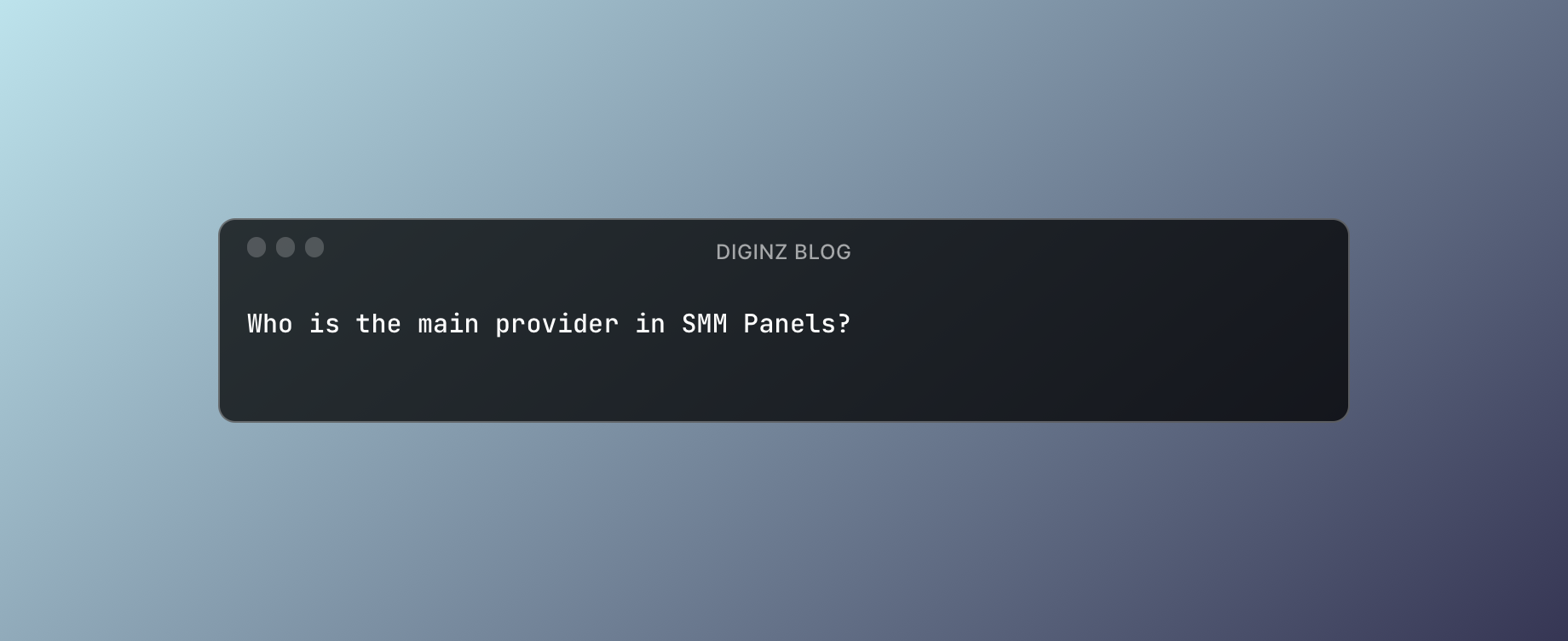 Who is the main provider in SMM Panels?