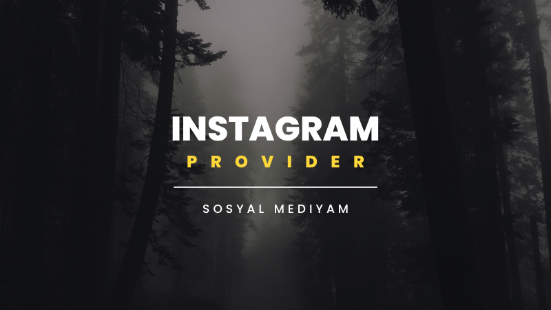 Instagram İçin En İyi Ana Sağlayıcı | SosyalMediyam