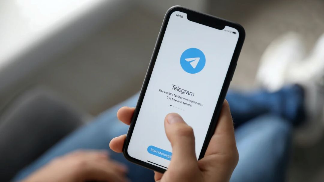 Telegram Premium Members vs Zero-Drop Members: Which One Should You Choose?