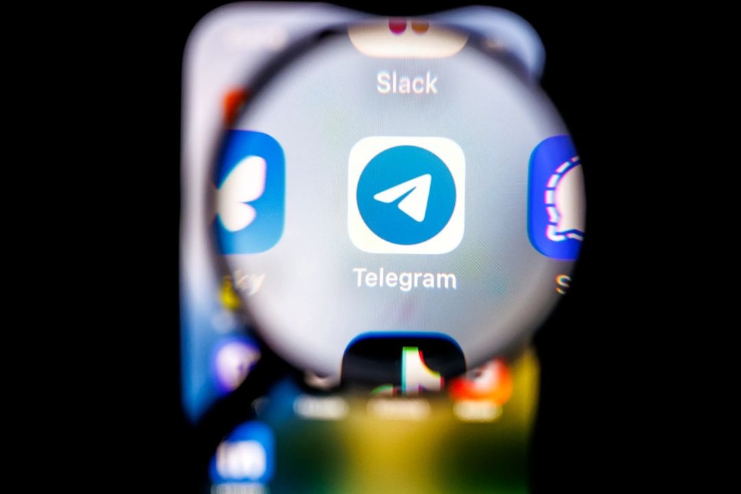 Telegram Growth Services Guide