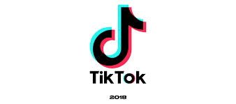 TikTok SMM Panel