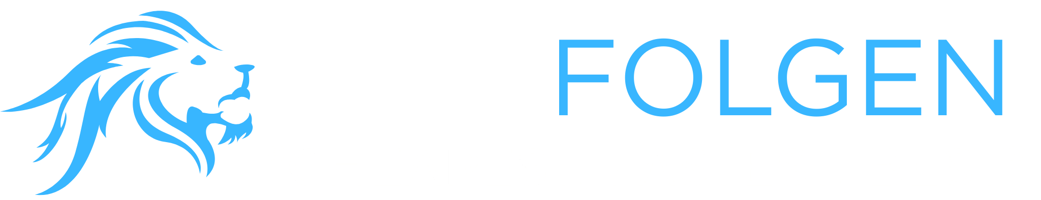 smmfolgen.com
