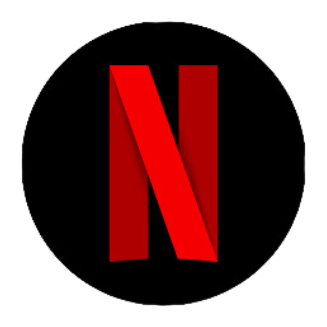 Subscription Netflix  5 profile