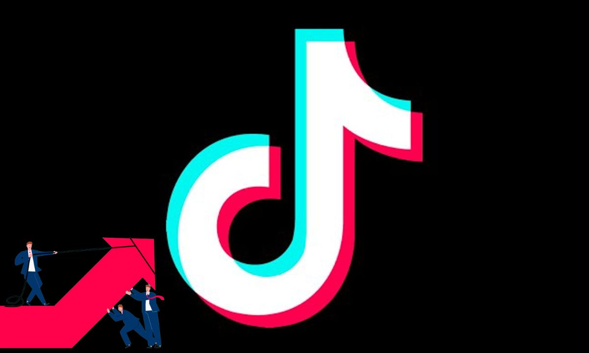 Importance of SMM Panel for Growing TikTok