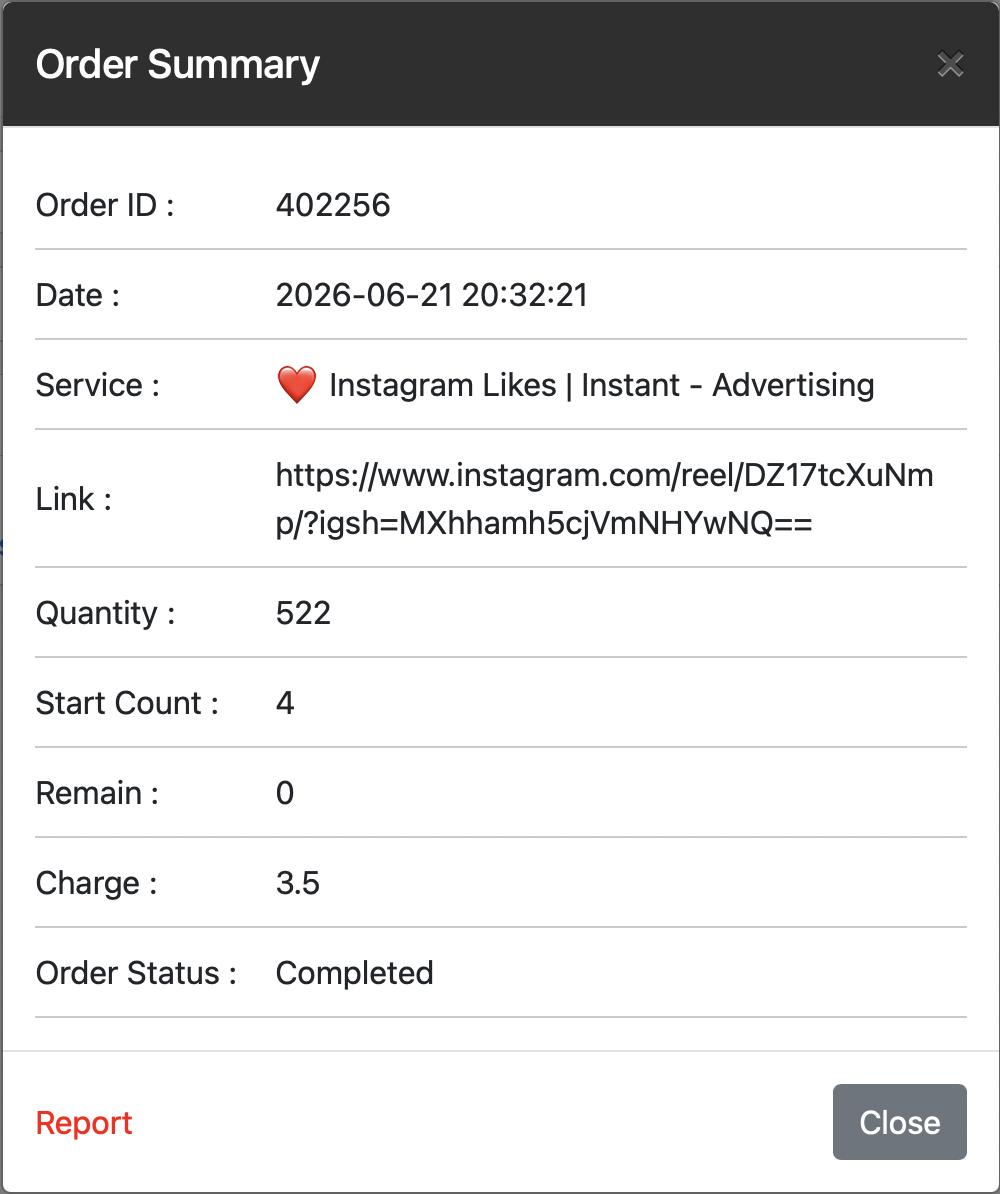 Order dashboard screenshot showing Instagram likes campaign delivery details