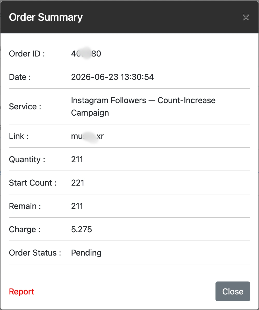 Real Instagram follower order summary screenshot