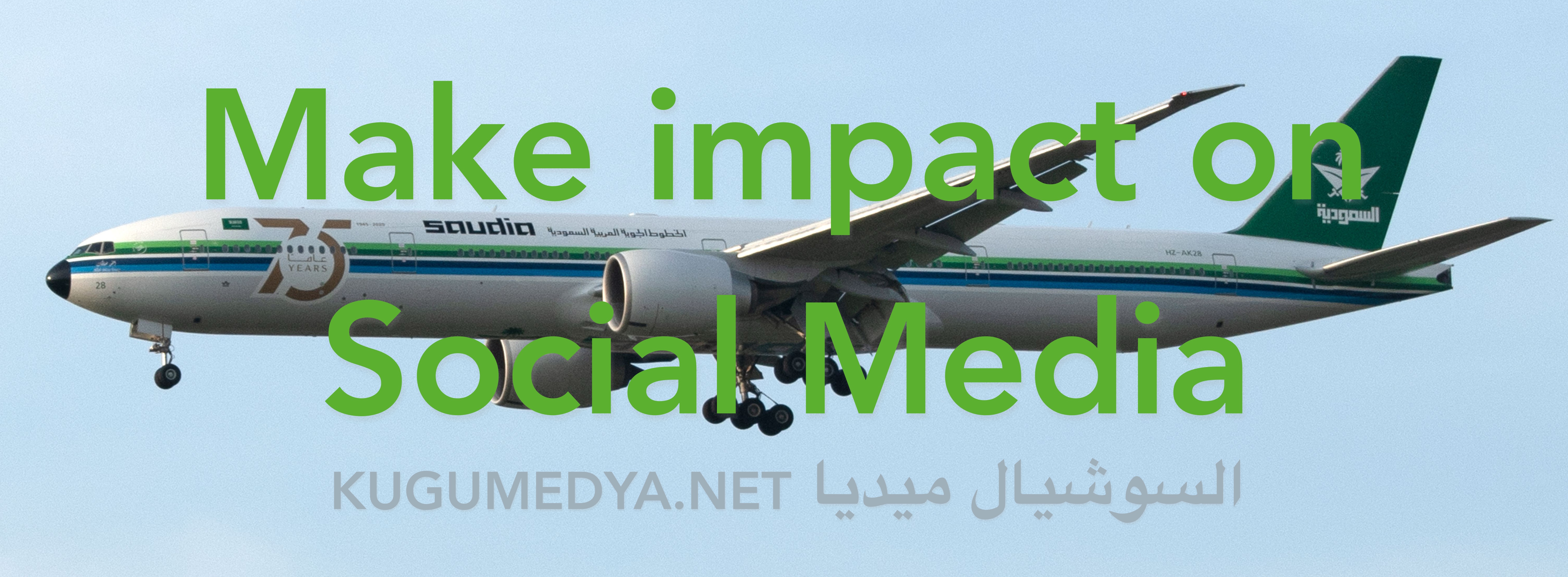 دليل استخدام Panelika خطوة بخطوة