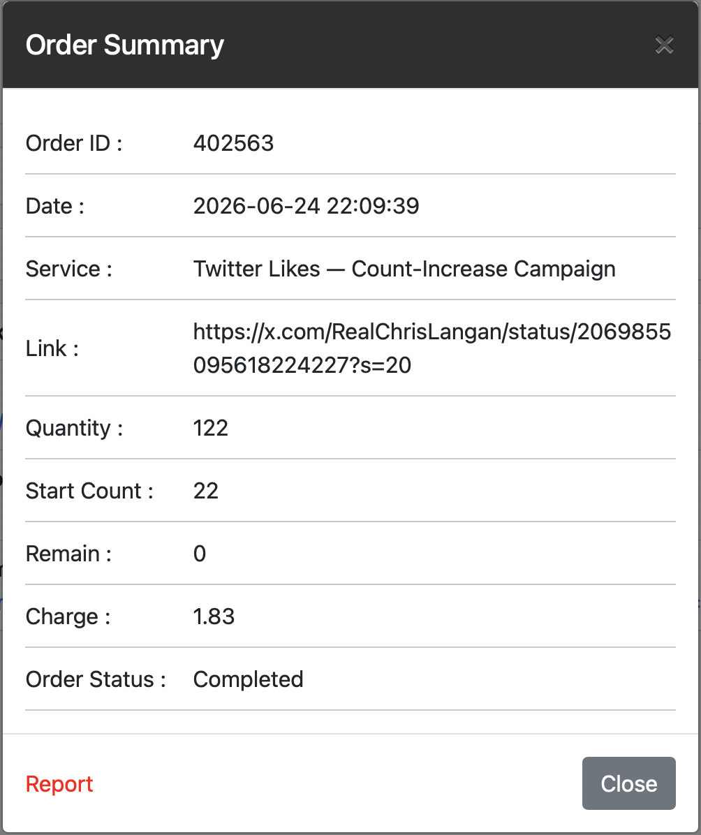 Panelika order summary screen for a Twitter likes purchase