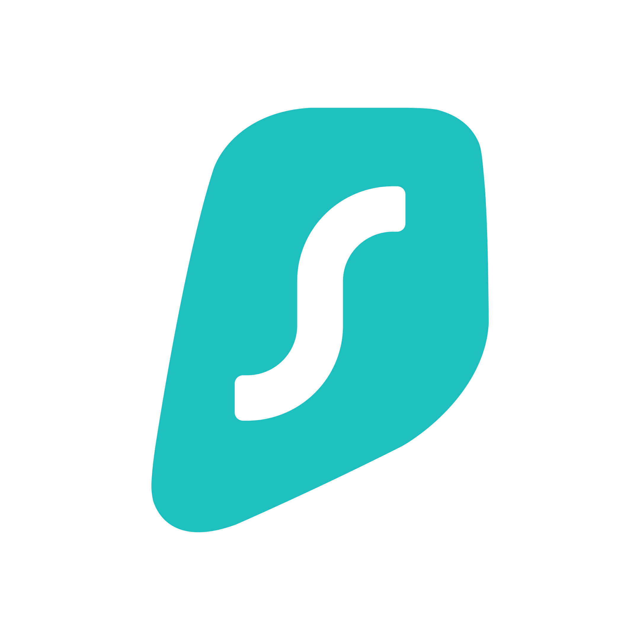 Surfshark VPN 2 month
