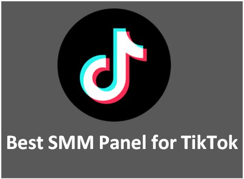 Best SMM Panel for TikTok