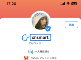 snsmart.co.jp