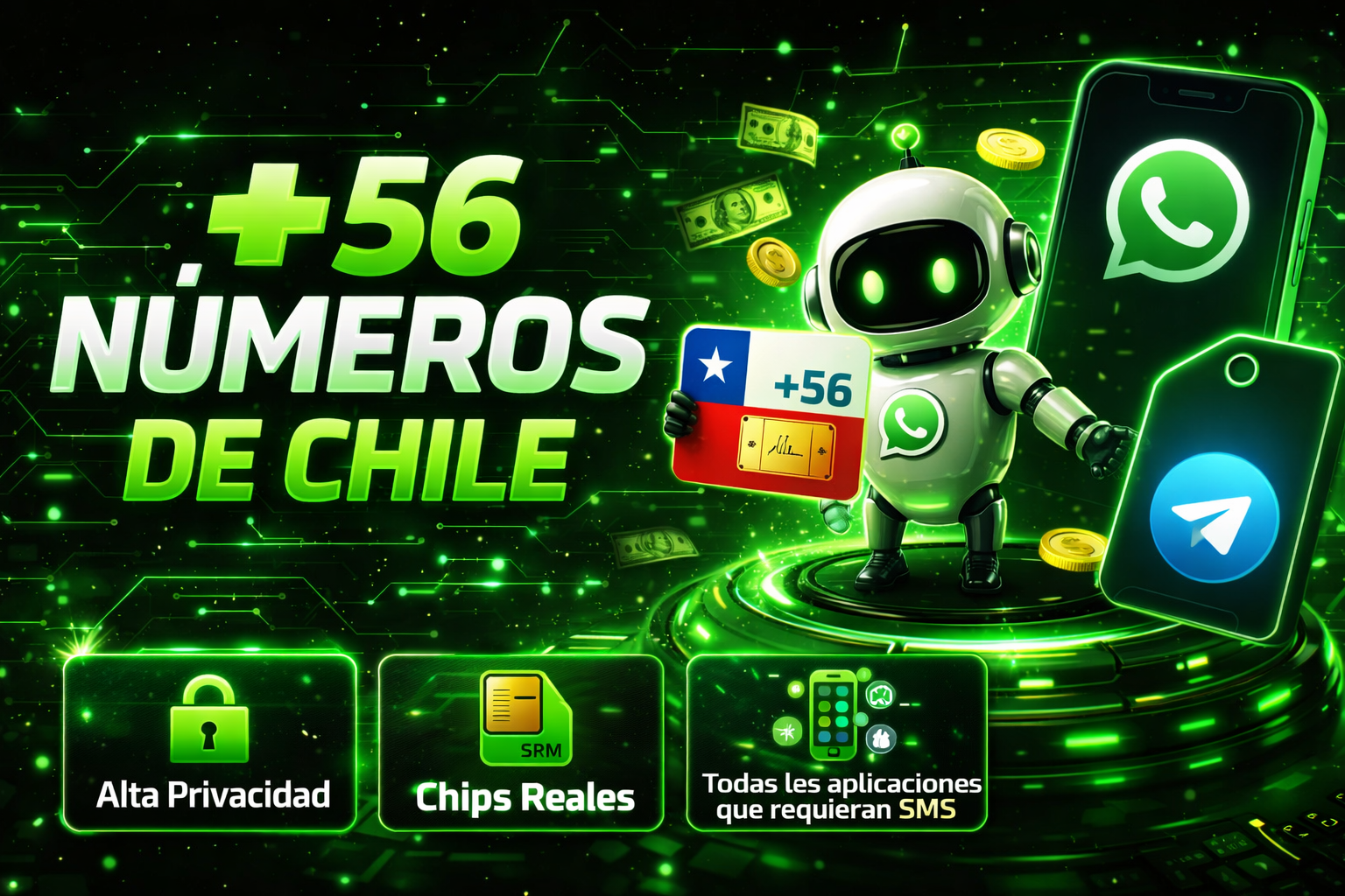 Números de Chile
