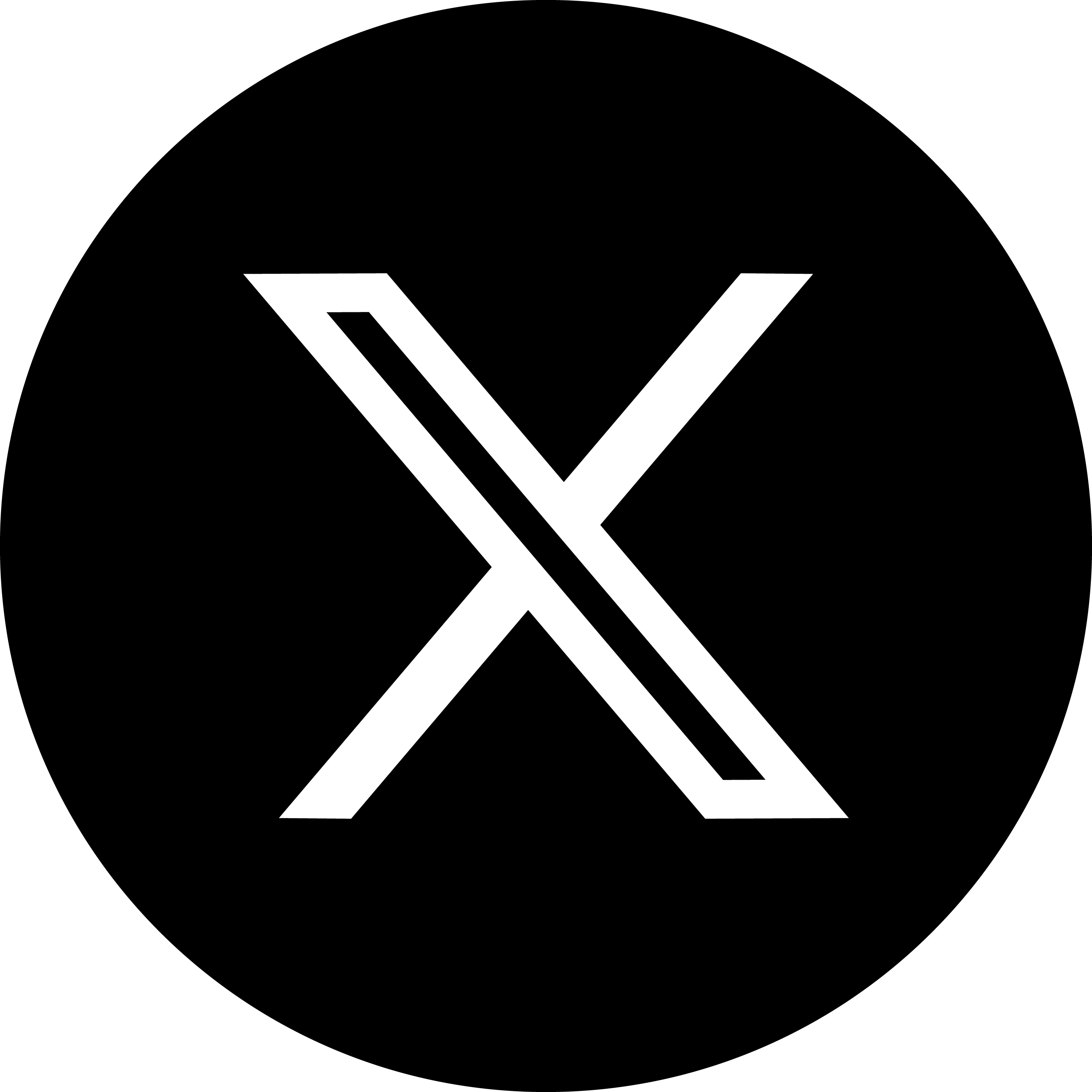 X ( Twitter )