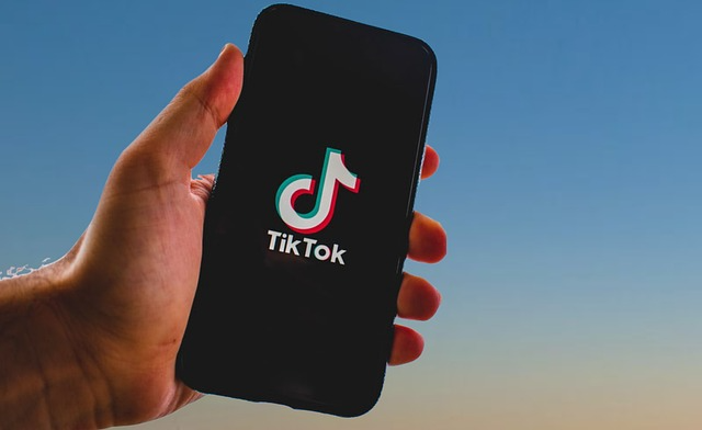 2025年TikTok刷粉平台推荐:为什么越来越多用户选择飞鸽粉丝系统(feigefans.vip)