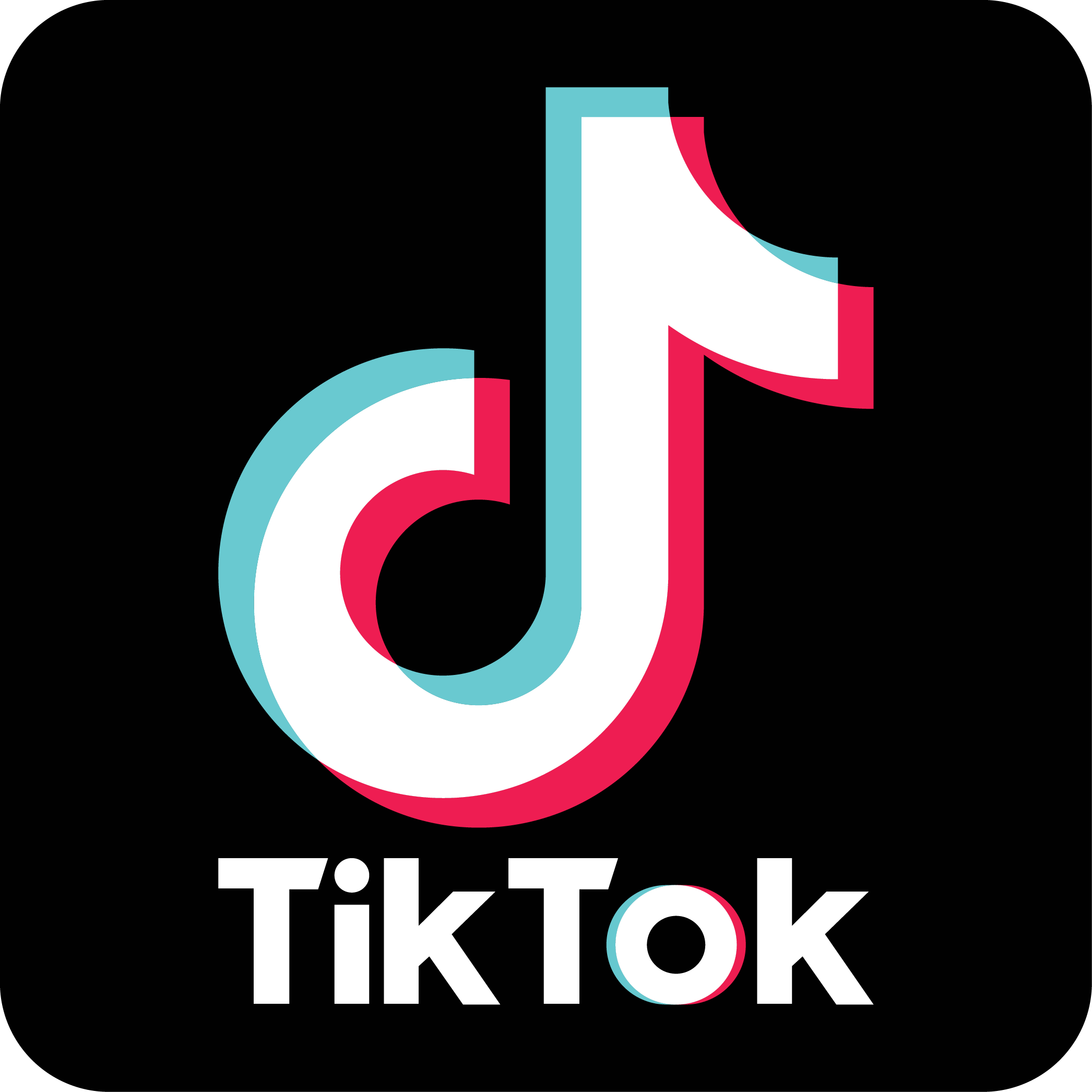 TIKTOK  - Seguidores Mundiais 🚶🌎