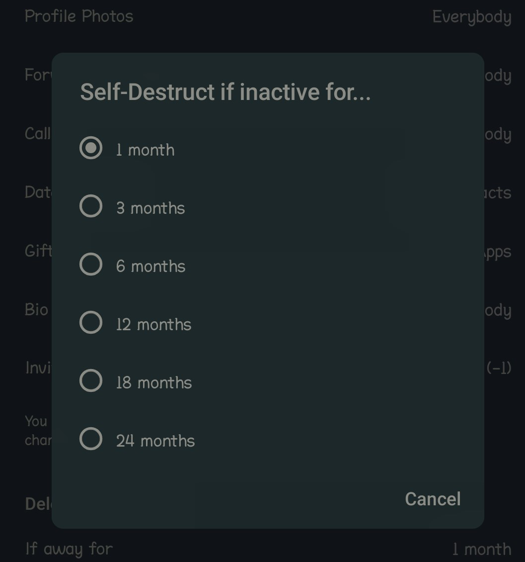 displays the self-destruction options for inactivity, ranging from 1 month to 24 months.