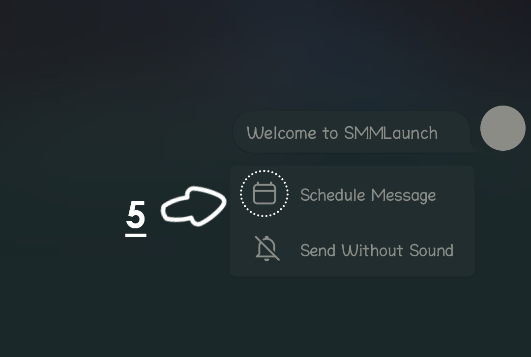 An interface showcasing a messaging application with a highlighted 'Schedule Message' option, represented by a calendar icon, and an adjacent 'Send Without Sound' option. A prominent number '5' is marked with an arrow pointing towards the schedule message feature.