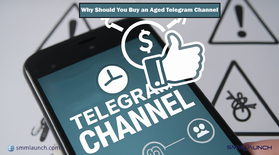 Why Should You Buy an Aged Telegram Channel