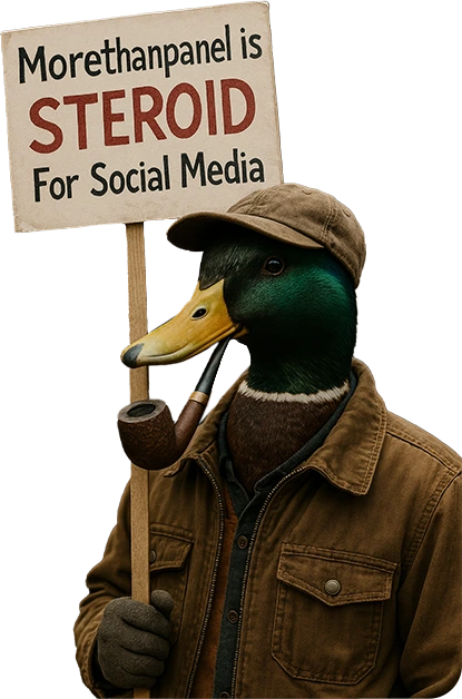 Morethanpanel