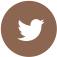 Twitter Logo