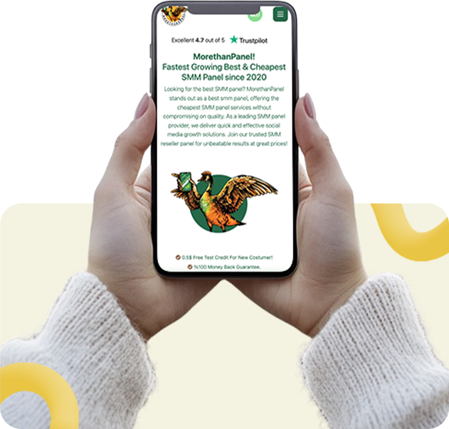 Our Mission MoreThanPanel