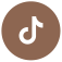 Tiktok Logo