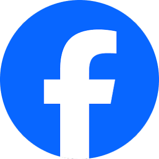 Facebook 主页点赞+关注者