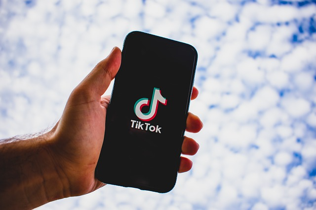 探索最佳TikTok刷粉平台:飞鸽粉丝系统(feigefans.vip)如何改变内容创作者的增长节奏?
