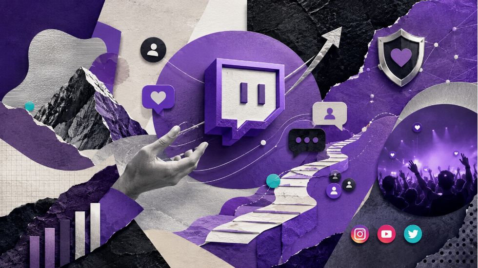 how to choose Twitch smm panel​?