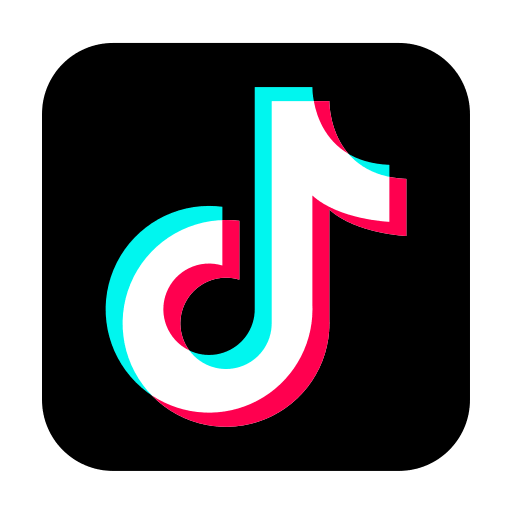 TikTok → Followers | No Refill