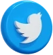 Twitter Growth Services - SMM Panel