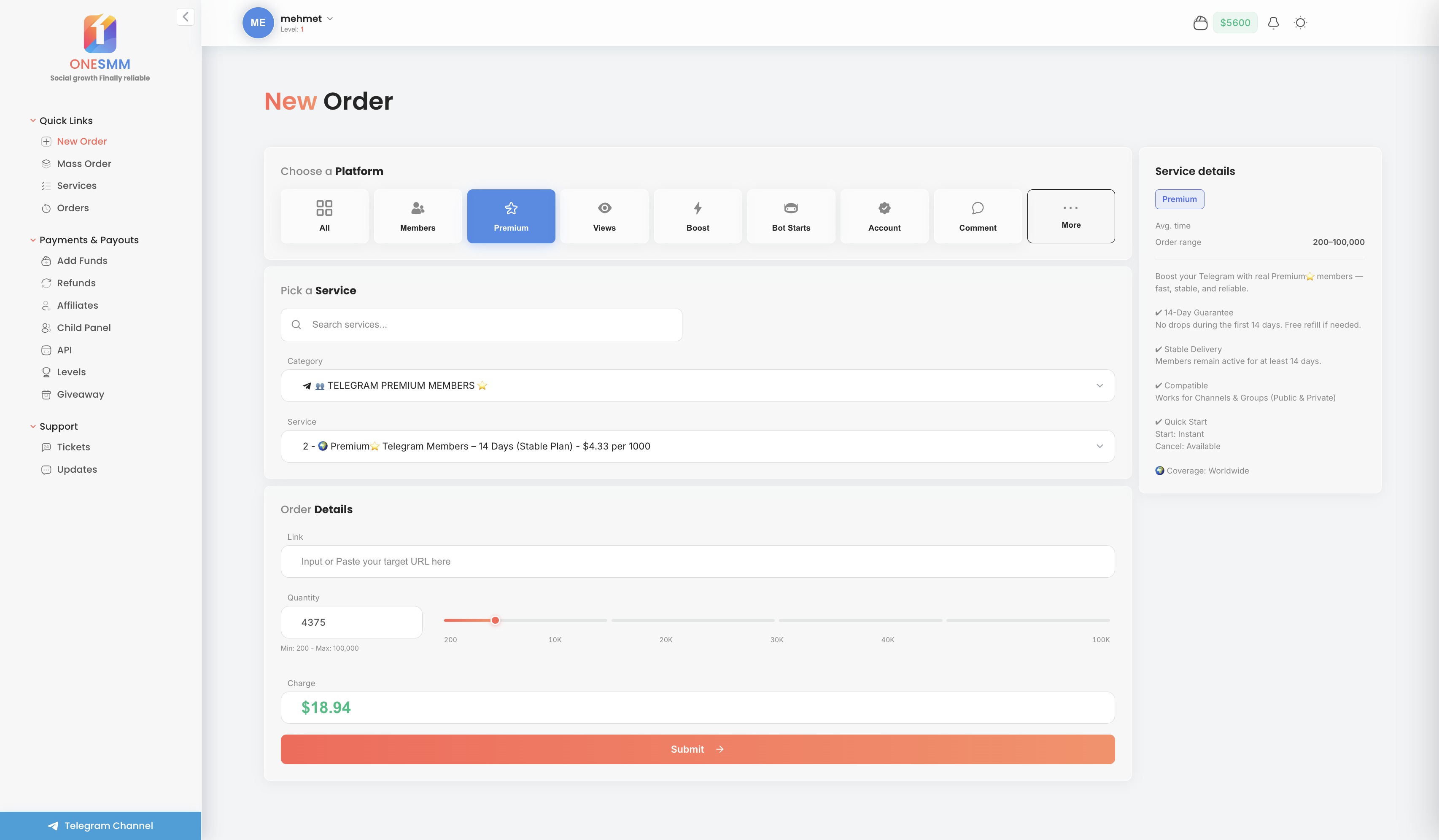 OneSMM dashboard showing platform selection and order placement