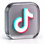 👥 TIKTOK FOLLOWERS