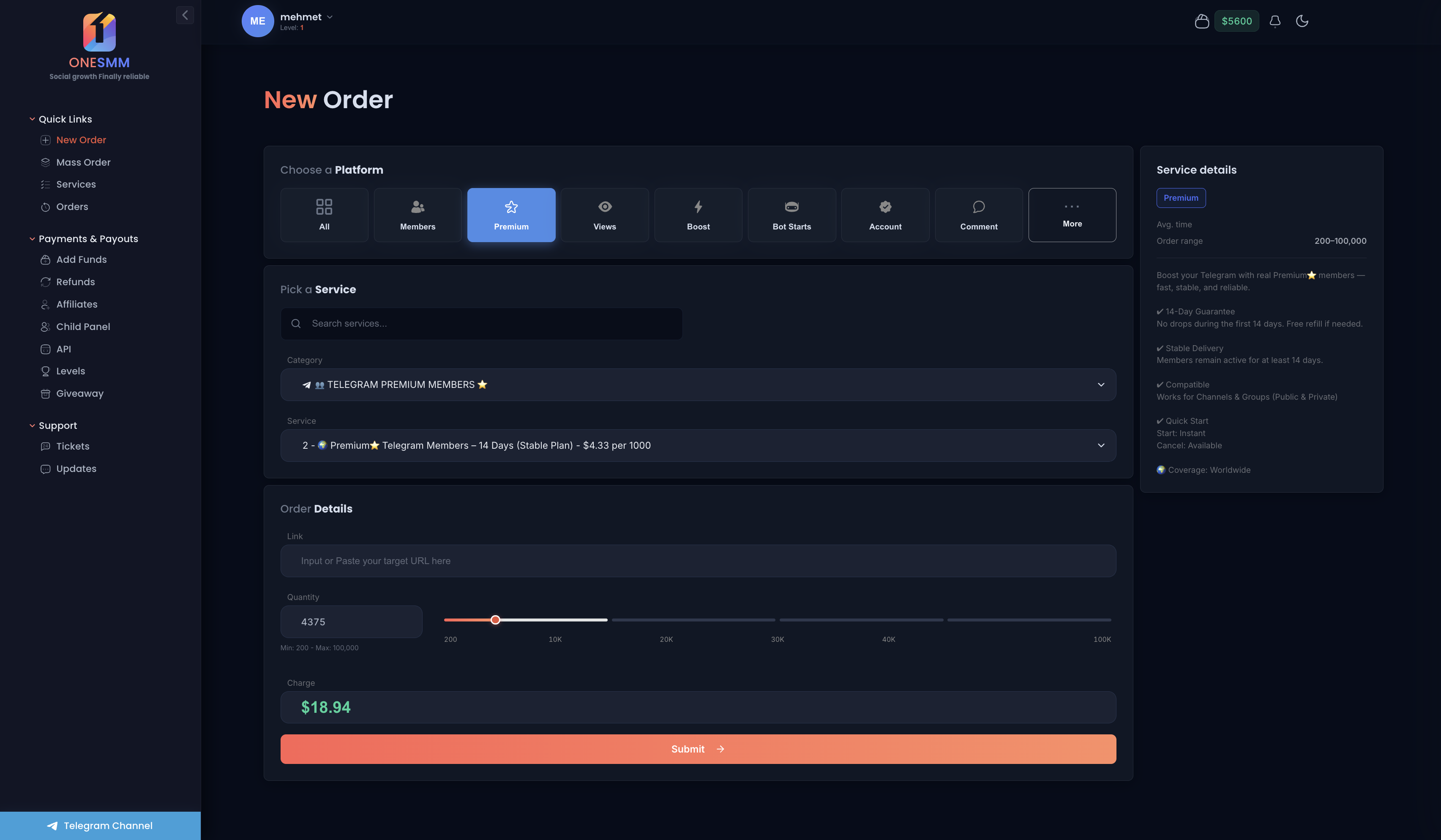 OneSMM dashboard showing platform selection and order placement