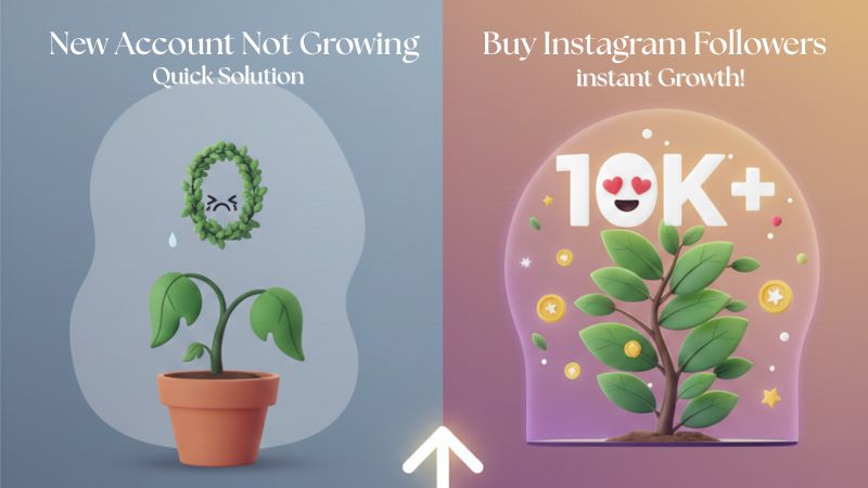 New Account Not Growing? Buy Instagram Follower as a Quick Solution