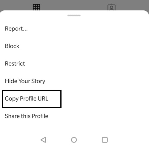 share instagram link on whatsapp