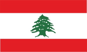 Instagram Lebanese Service