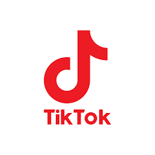 TikTok PREMIUM Followers [Targeted]