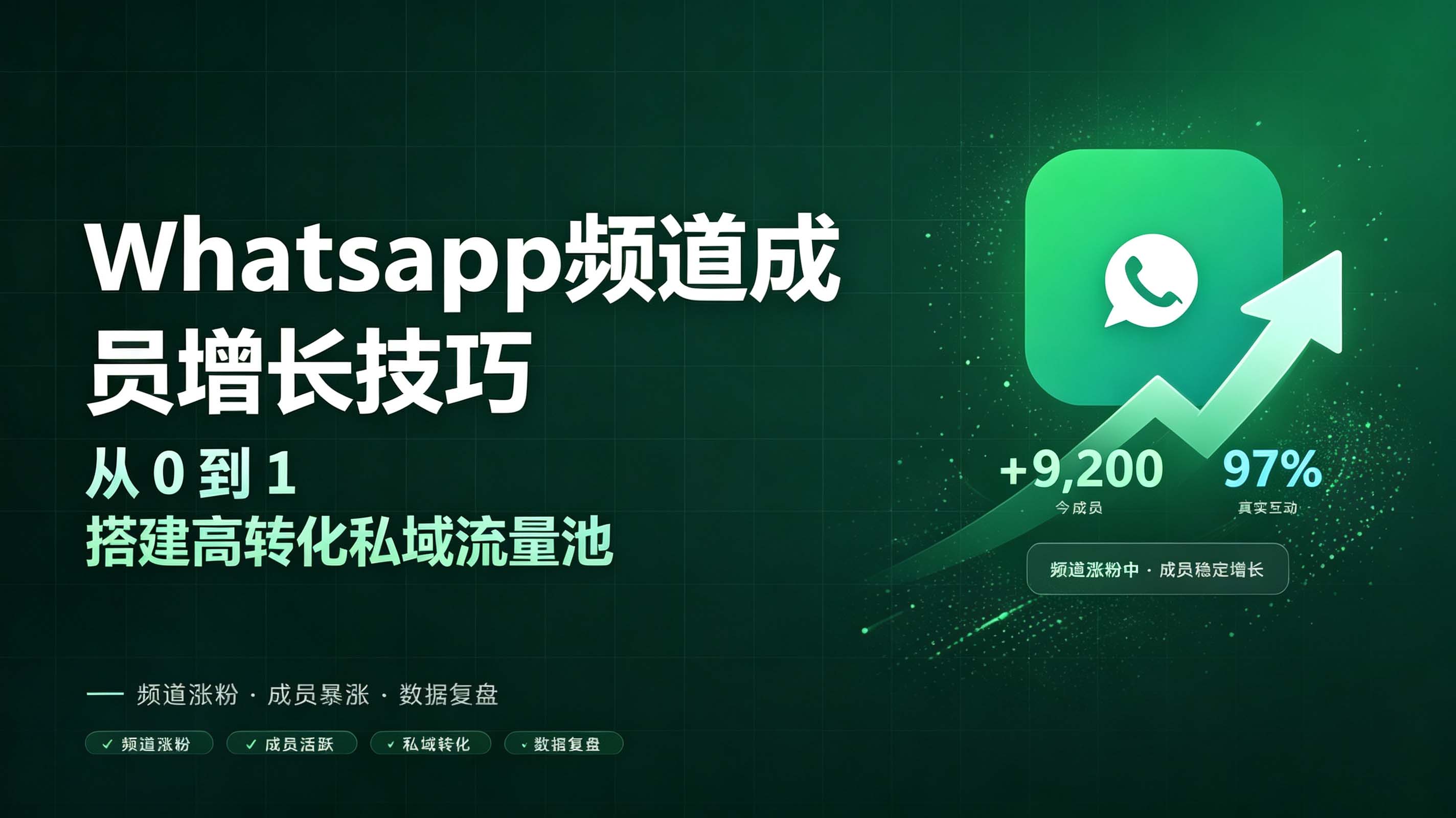 WhatsApp涨粉