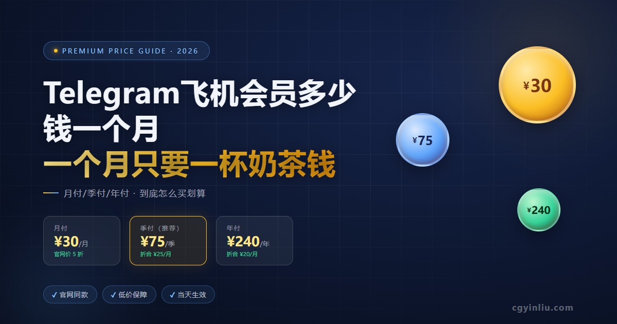 Telegram 飞机会员价格 cgyinliu.com